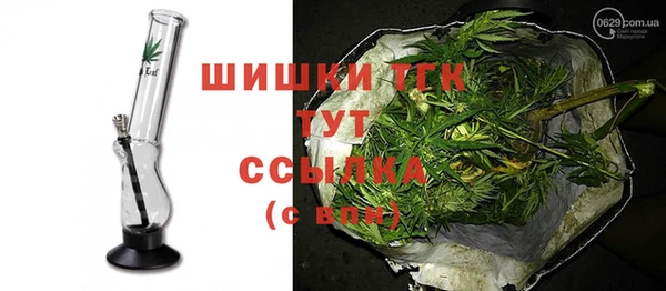 гидра Дмитров