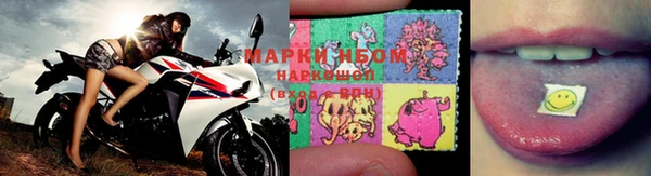 гидра Дмитров
