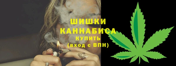 гидра Дмитров