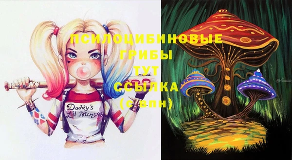 гидра Дмитров
