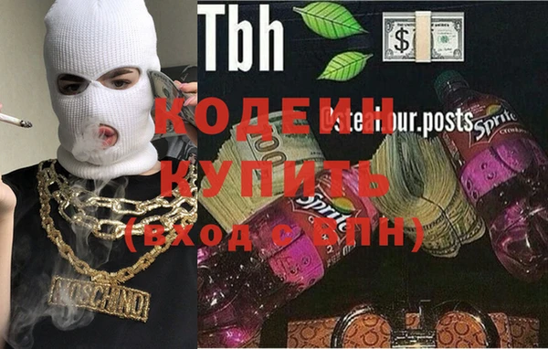 молекула духа Ельня