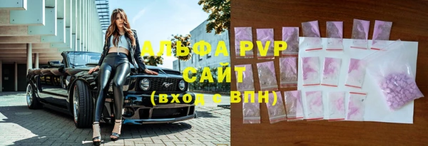 гидра Дмитров