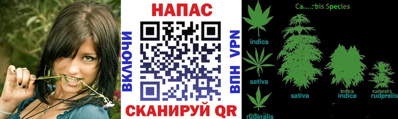 Бошки марихуана LSD WEED  Купить где  Шарья 